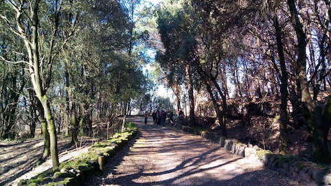 Pasquetta sul Vesuvio con le eco escursioni a cura di Econote e Vesuvio Natura da Esplorare
