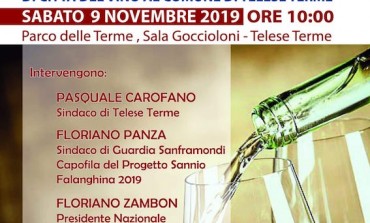 Sannio Falanghina Sabato 9 Novembre ore 10.00 Telese Terme