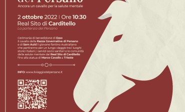 Da Caserta a Trieste, il viaggio del cavallo Persano per la salute mentale