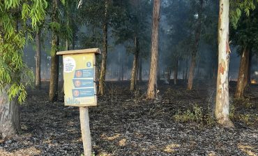 Real Sito di Carditello, Incendio nel Bosco di Eucalipti