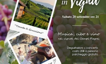 Jazz in Vigna : Musica, cibo e vino nei vigneti dei Campi Flegrei - Sabato 20 Settembre ore 21:00