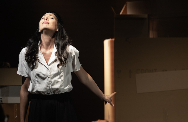 Teatro Serra da Venerdì 28 Novembre a Domenica 30 : “Agosto” Un dramma sulla condizione femminile